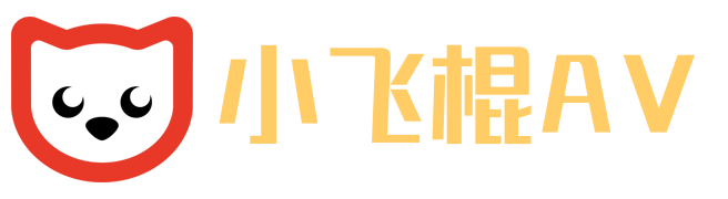 小飞棍AV